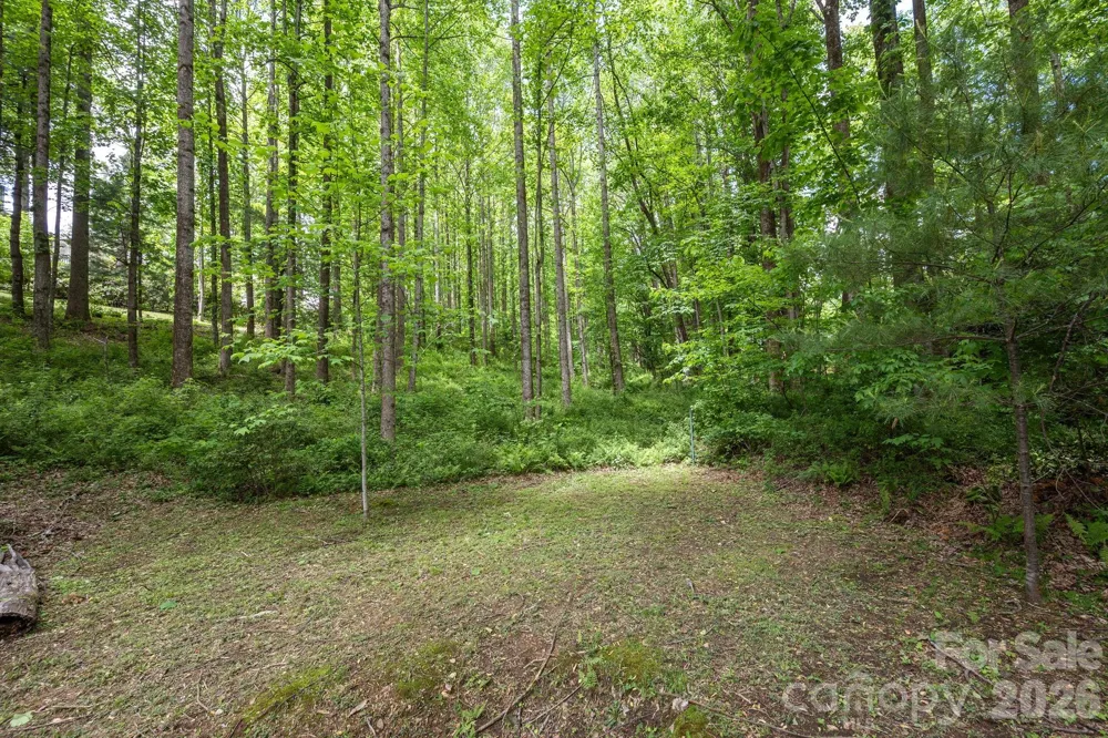 113 CHANCERY COURT Flat Rock, NC 28731