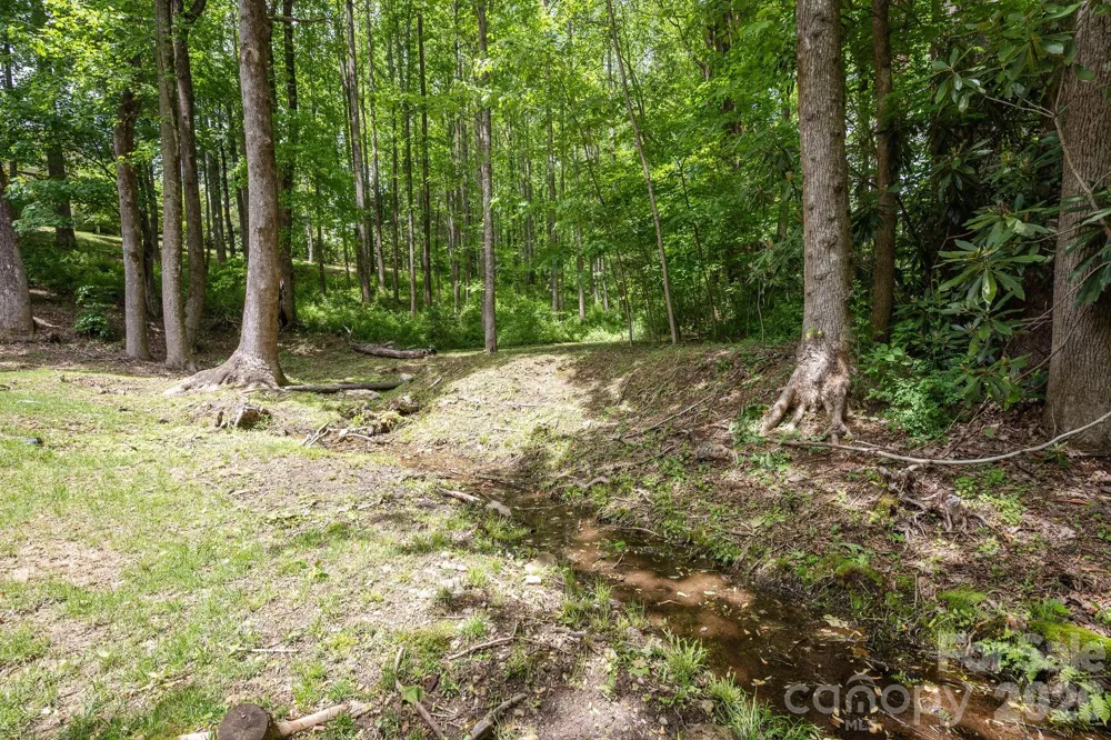 113 CHANCERY COURT Flat Rock, NC 28731