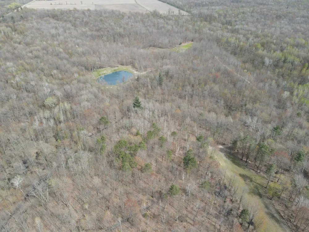 2954 Carter Road Pinconning, MI 48650