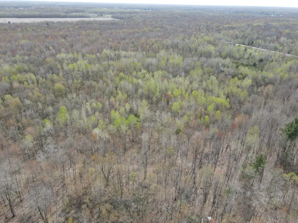 2954 Carter Road Pinconning, MI 48650