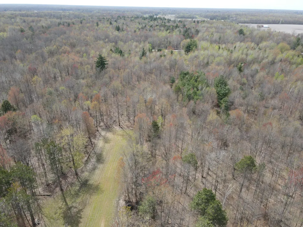 2954 Carter Road Pinconning, MI 48650