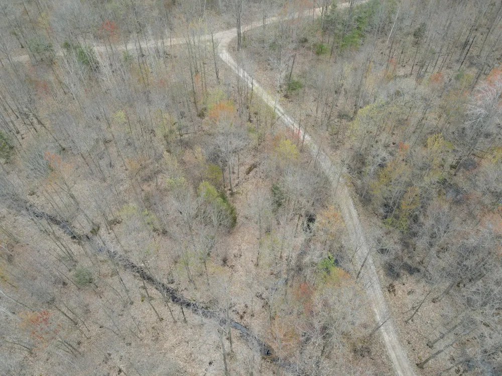2954 Carter Road Pinconning, MI 48650