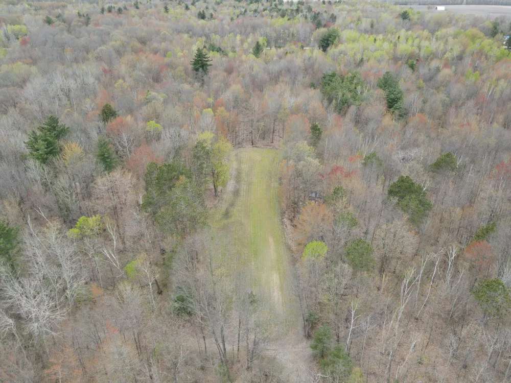 2954 Carter Road Pinconning, MI 48650