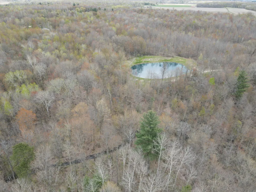 2954 Carter Road Pinconning, MI 48650