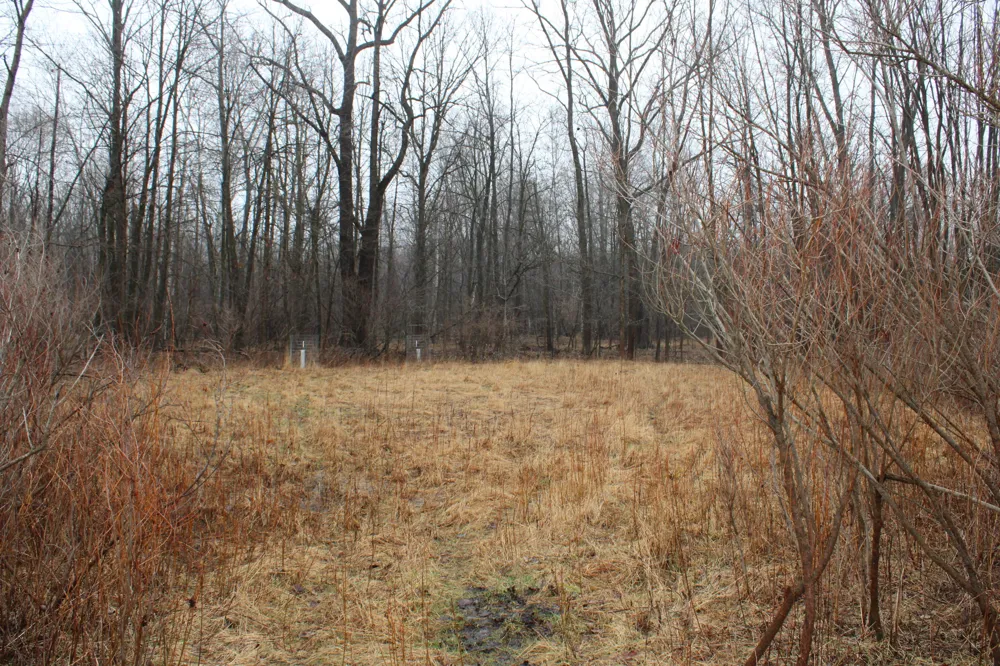 2954 Carter Road Pinconning, MI 48650