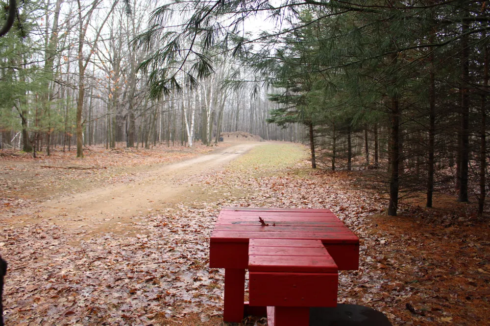 2954 Carter Road Pinconning, MI 48650
