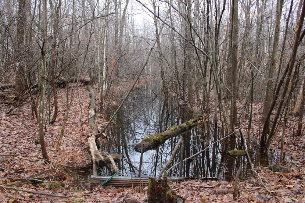 2954 Carter Road Pinconning, MI 48650