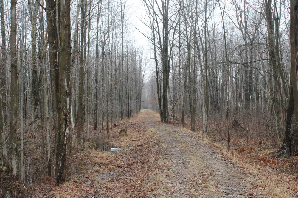2954 Carter Road Pinconning, MI 48650