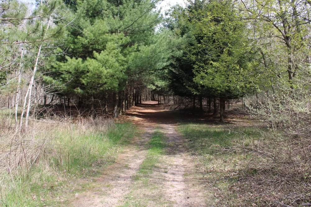 2954 Carter Road Pinconning, MI 48650