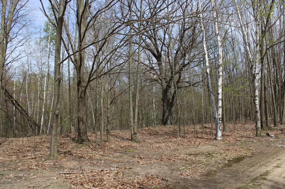 2954 Carter Road Pinconning, MI 48650
