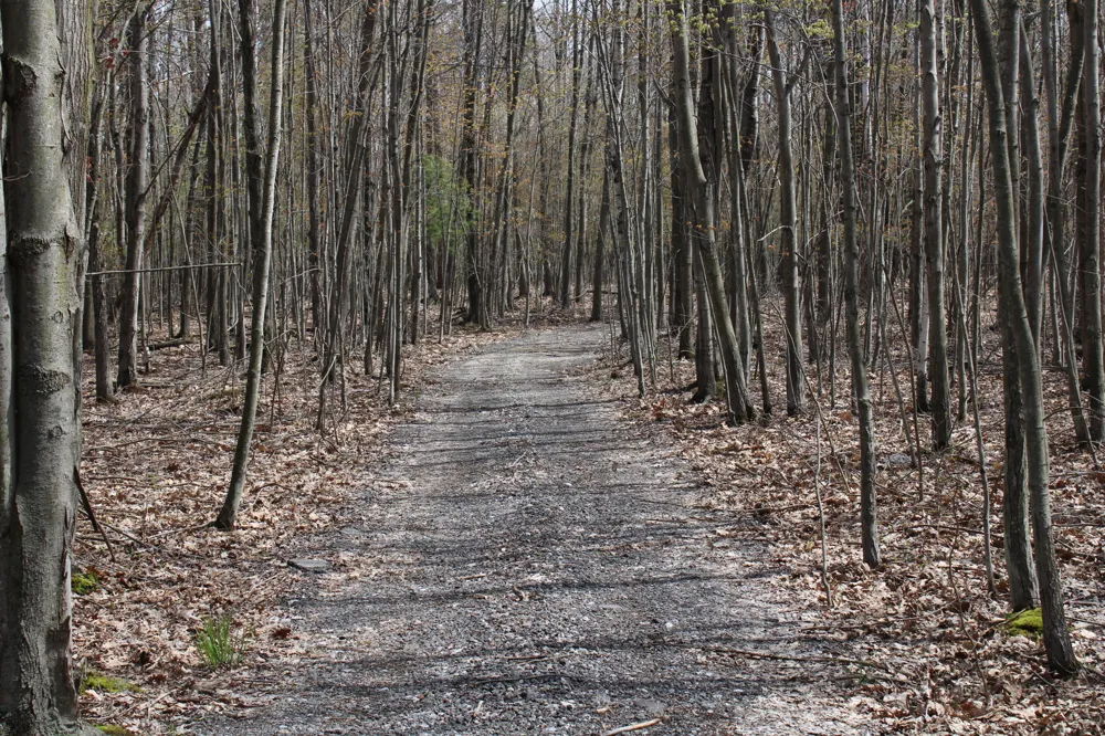 2954 Carter Road Pinconning, MI 48650