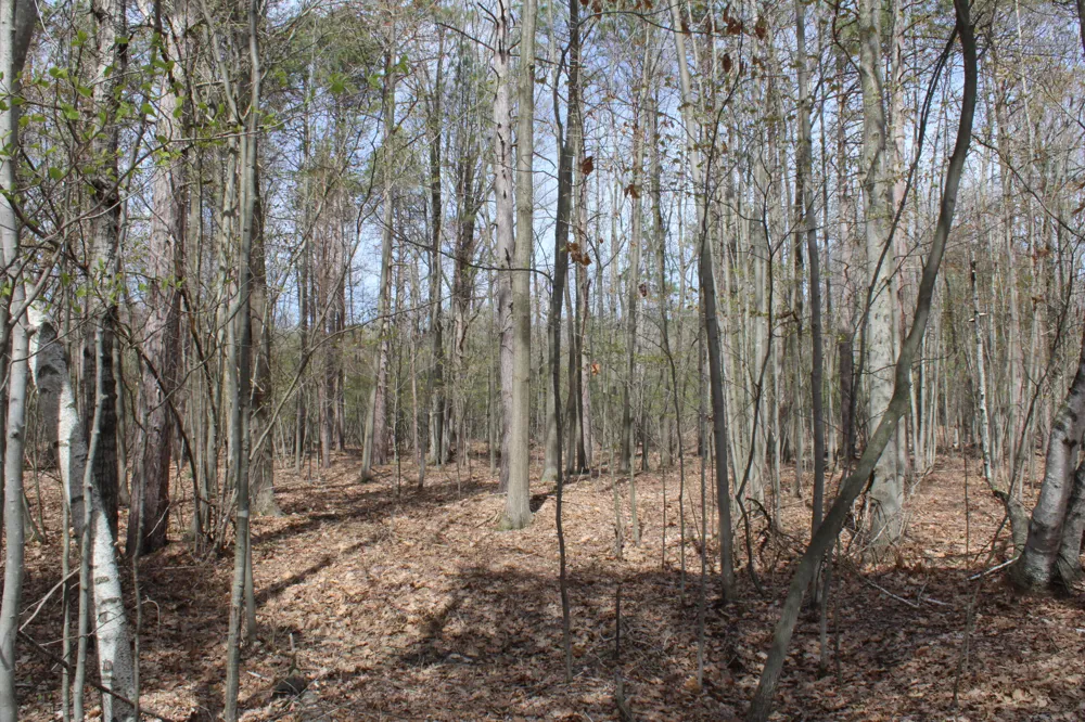 2954 Carter Road Pinconning, MI 48650