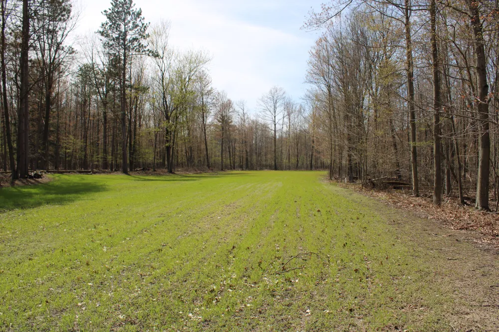 2954 Carter Road Pinconning, MI 48650