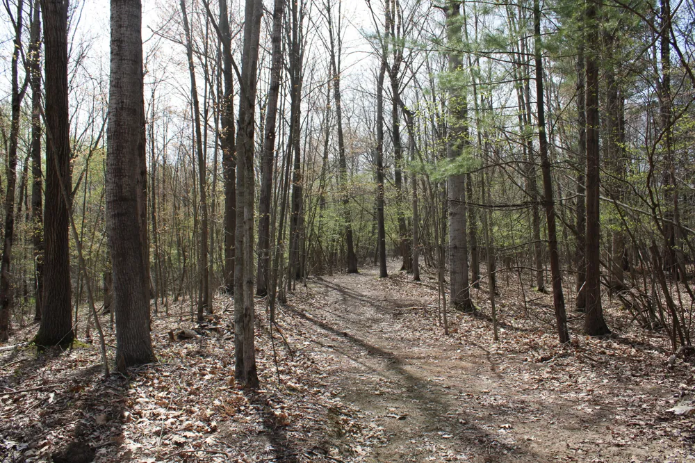 2954 Carter Road Pinconning, MI 48650