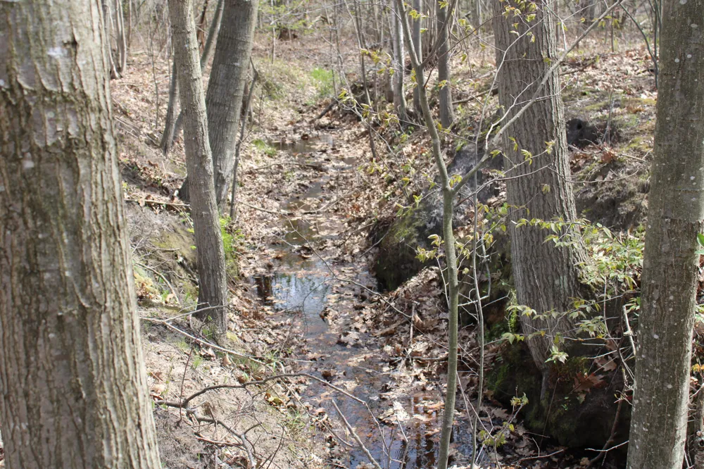 2954 Carter Road Pinconning, MI 48650