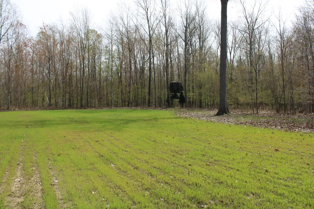 2954 Carter Road Pinconning, MI 48650