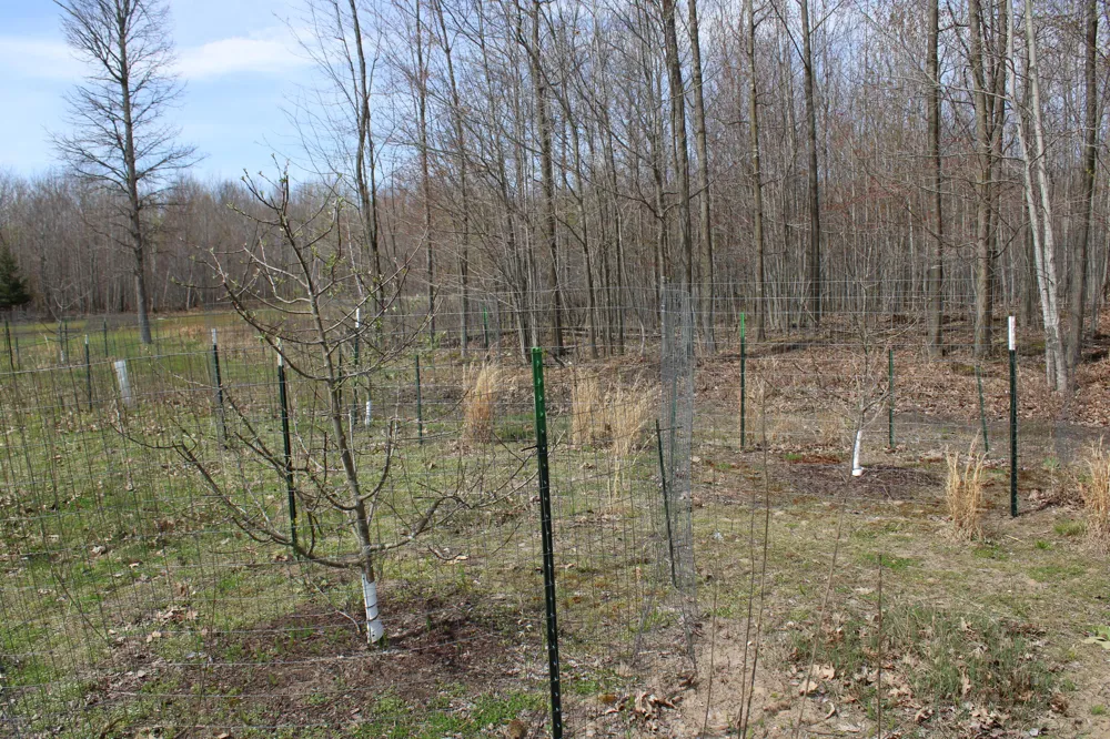 2954 Carter Road Pinconning, MI 48650