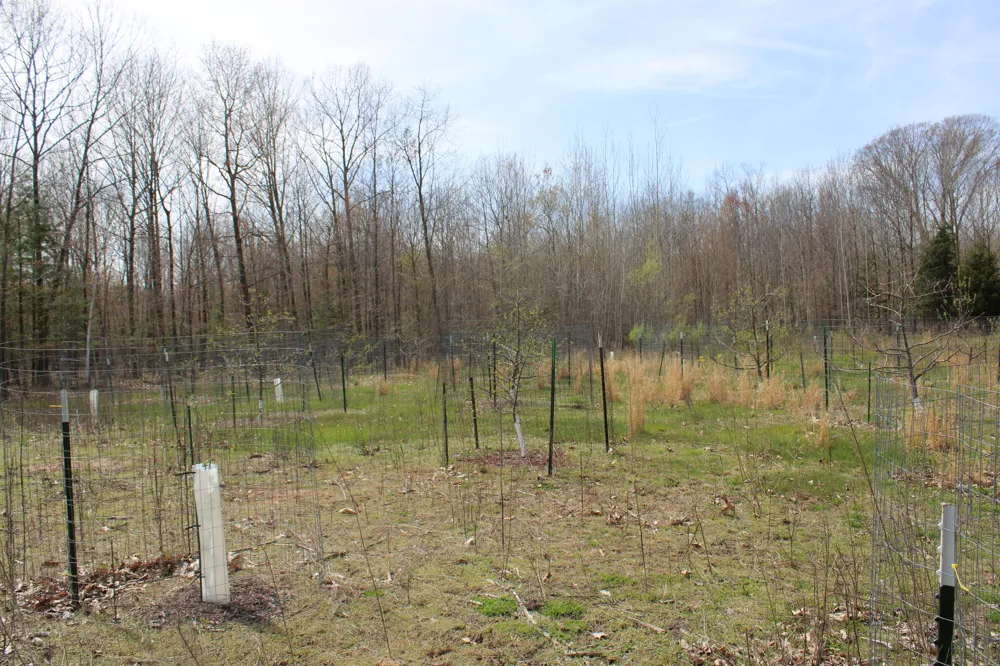 2954 Carter Road Pinconning, MI 48650