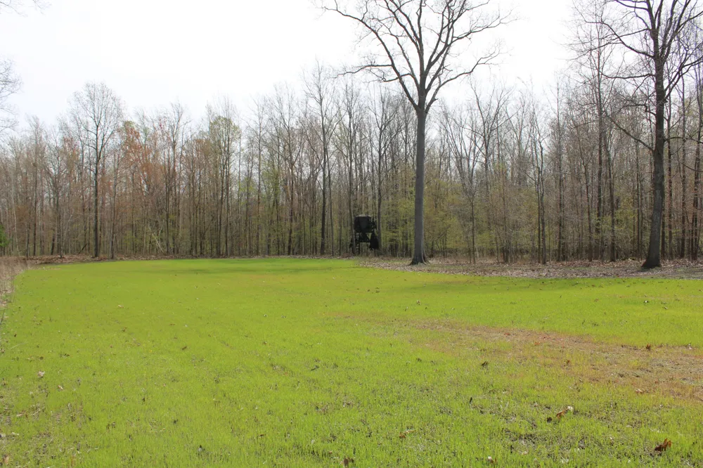 2954 Carter Road Pinconning, MI 48650
