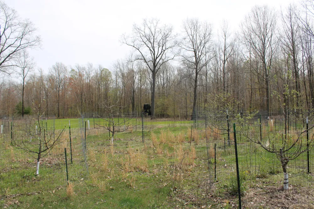 2954 Carter Road Pinconning, MI 48650