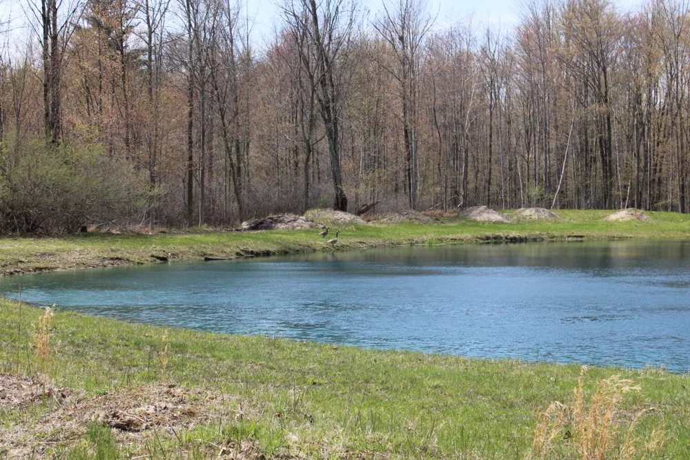 2954 Carter Road Pinconning, MI 48650