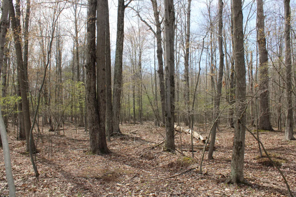 2954 Carter Road Pinconning, MI 48650