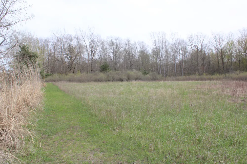 2954 Carter Road Pinconning, MI 48650