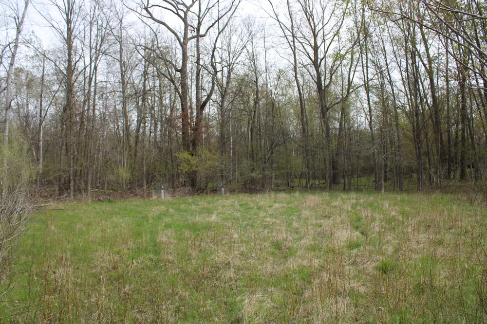2954 Carter Road Pinconning, MI 48650