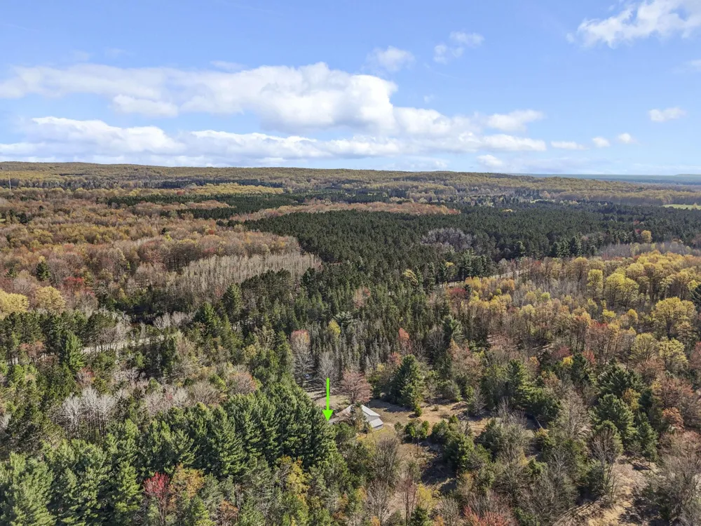 Wallin Road Colfax Township, MI 49683