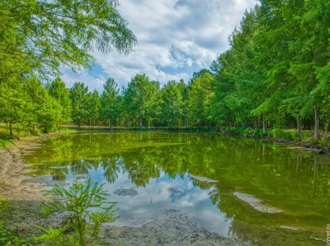 1630 County Road 219