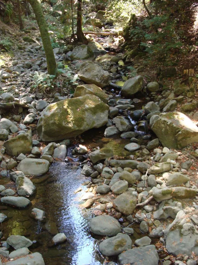7150 Croy Road #A Morgan Hill, CA 95037
