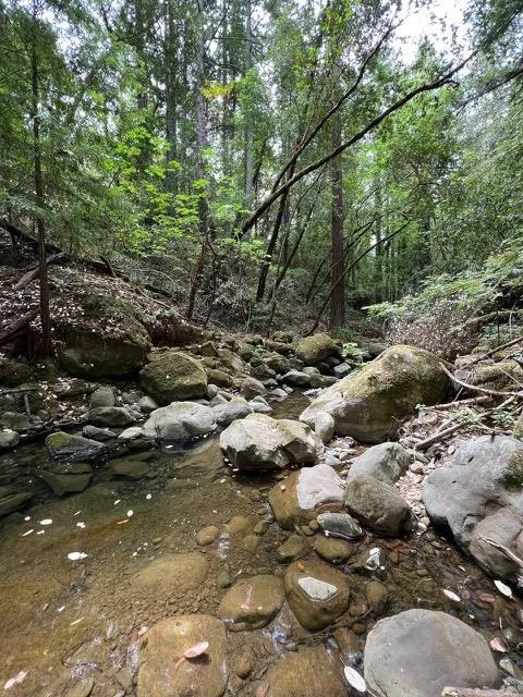 7150 Croy Road #A Morgan Hill, CA 95037