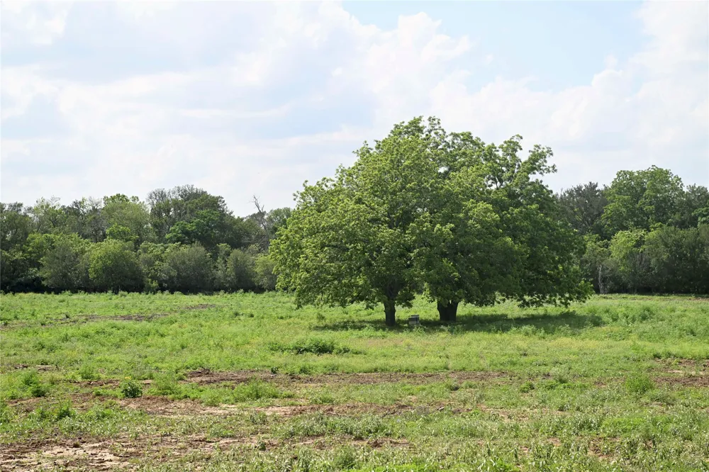 5 Valley Creek Drive Cedar Creek, TX 78612
