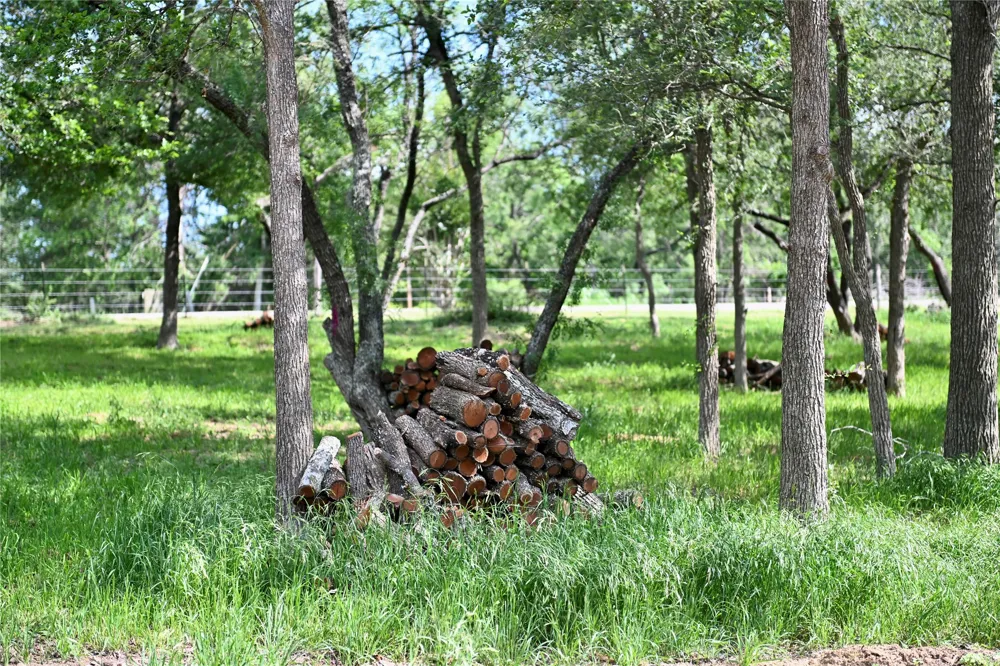 5 Valley Creek Drive Cedar Creek, TX 78612
