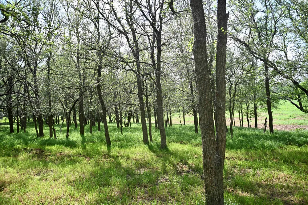 5 Valley Creek Drive Cedar Creek, TX 78612