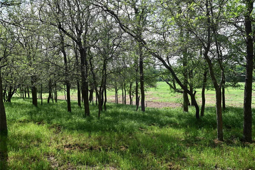 5 Valley Creek Drive Cedar Creek, TX 78612