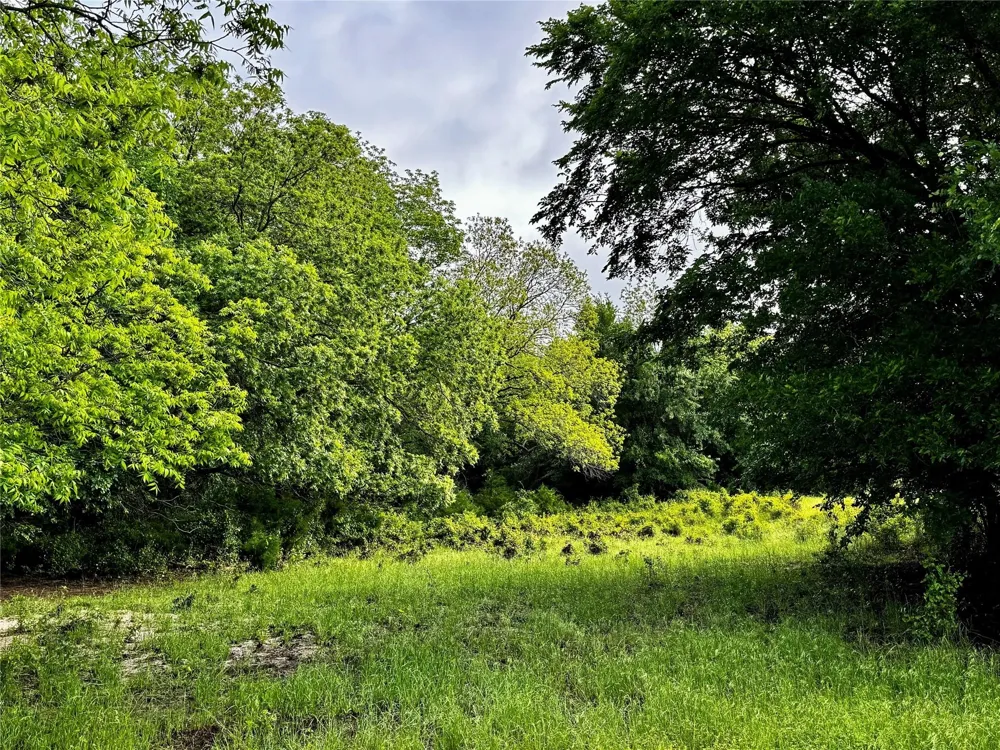 16 CR-1460 Chico, TX 76431