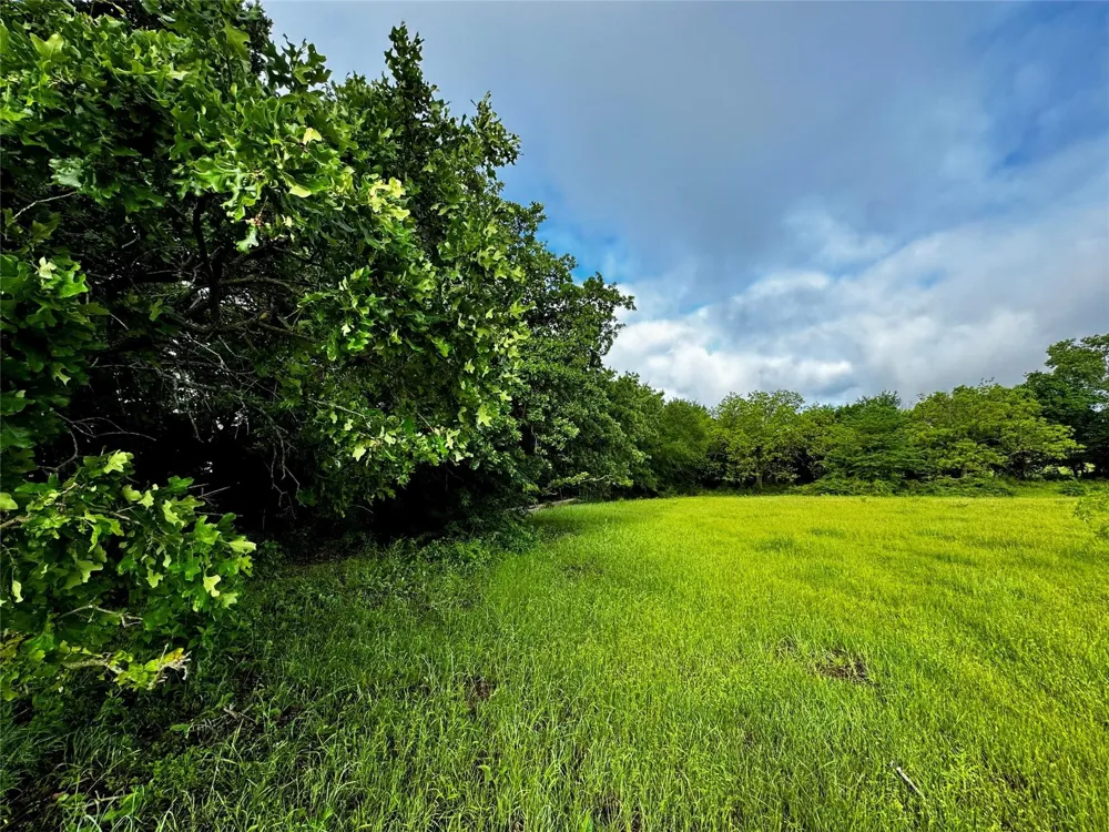 16 CR-1460 Chico, TX 76431