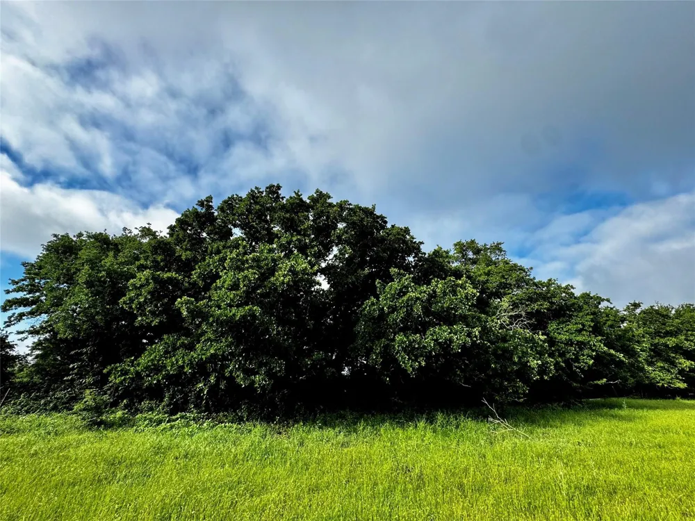 16 CR-1460 Chico, TX 76431
