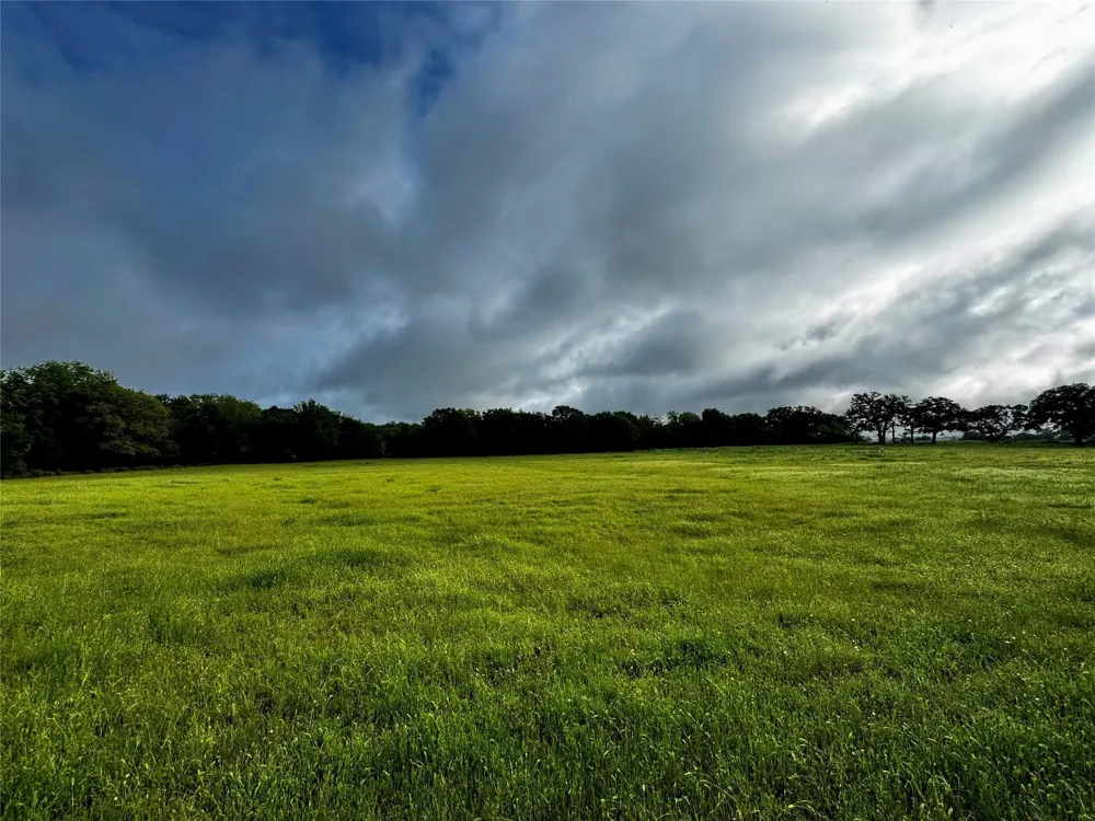 16 CR-1460 Chico, TX 76431