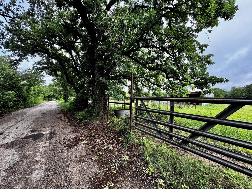 16 CR-1460 Chico, TX 76431