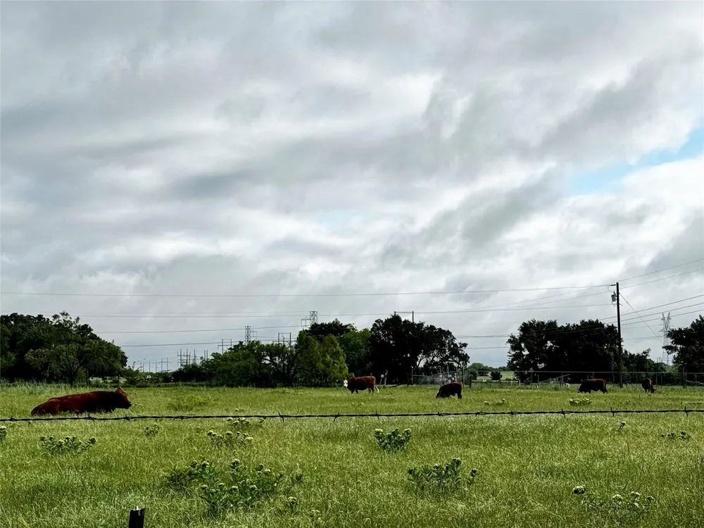 16 CR-1460 Chico, TX 76431