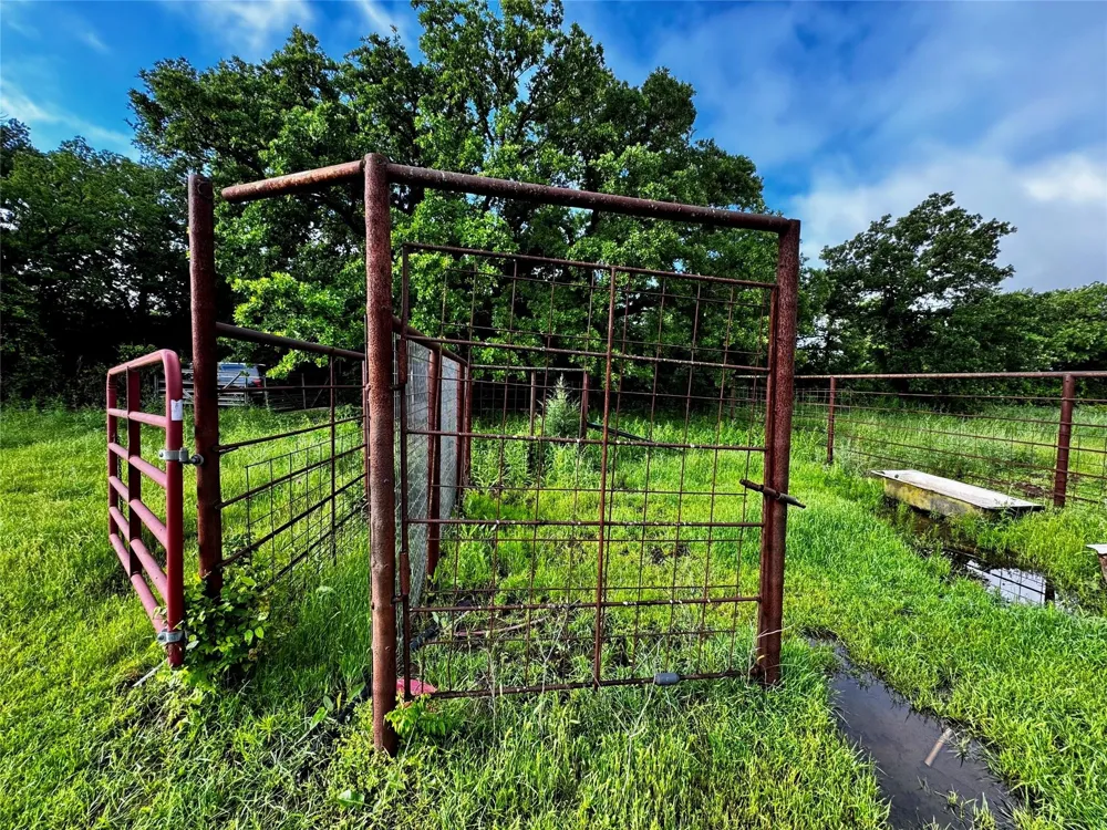 16 CR-1460 Chico, TX 76431
