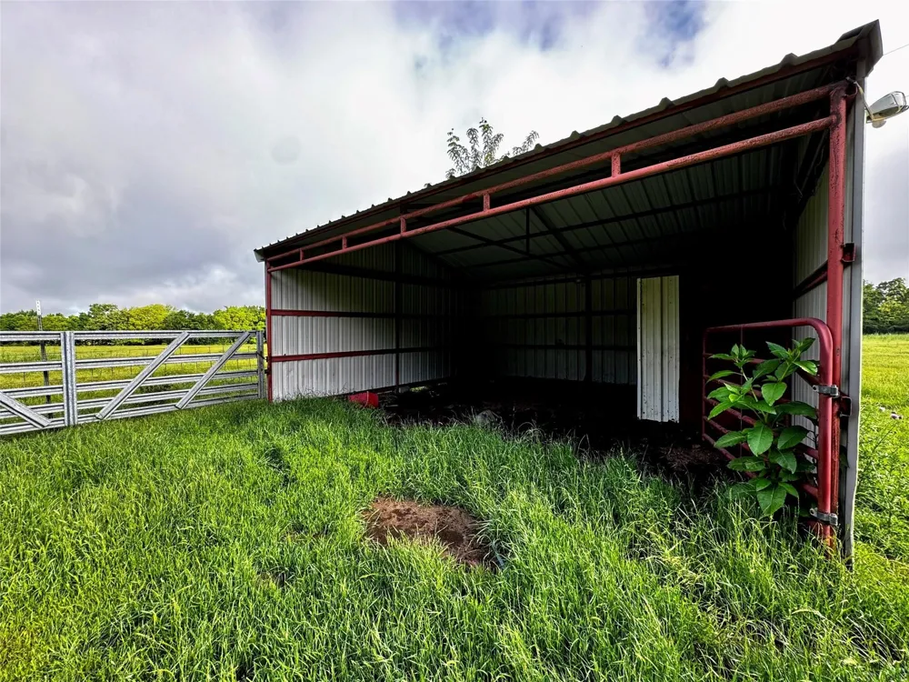 16 CR-1460 Chico, TX 76431