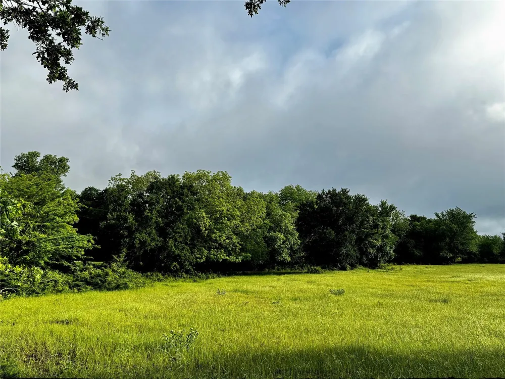 16 CR-1460 Chico, TX 76431