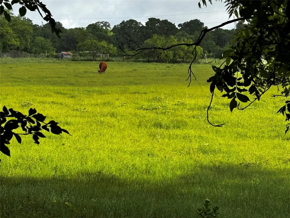16 CR-1460 Chico, TX 76431