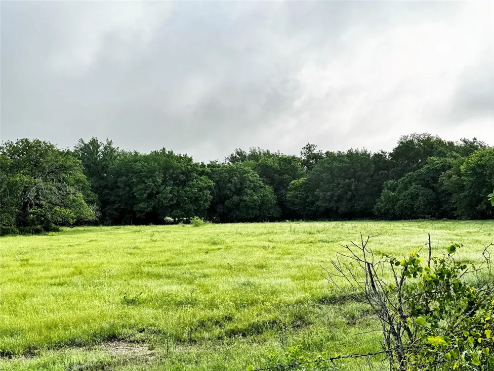 16 CR-1460 Chico, TX 76431
