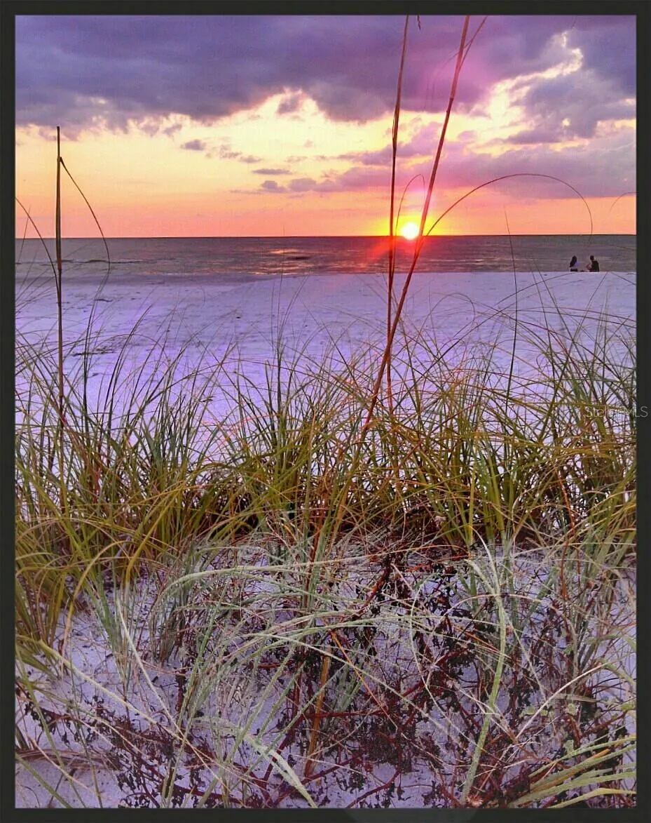 403 GULF WAY #601 St Pete Beach, FL 33706