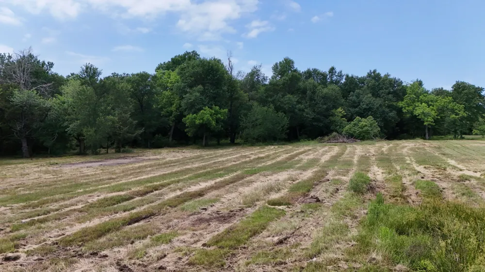 3164 County Road 1076 Celeste, TX 75423