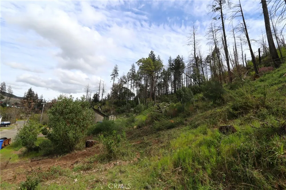 11541 Anderson Springs Road Middletown, CA 95461